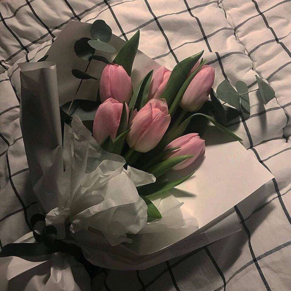 微信简洁个性小清新朋友圈配图