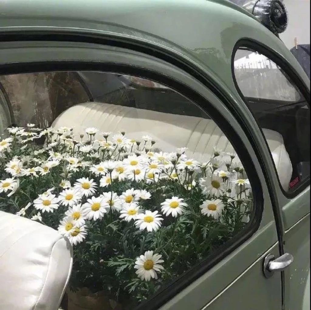 微信简洁森系朋友圈配图