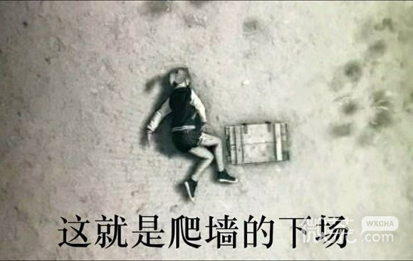 我的天呀微信恶搞傻屌群聊杂图表情包