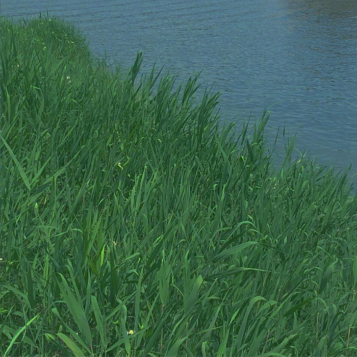 微信简洁森系朋友圈配图