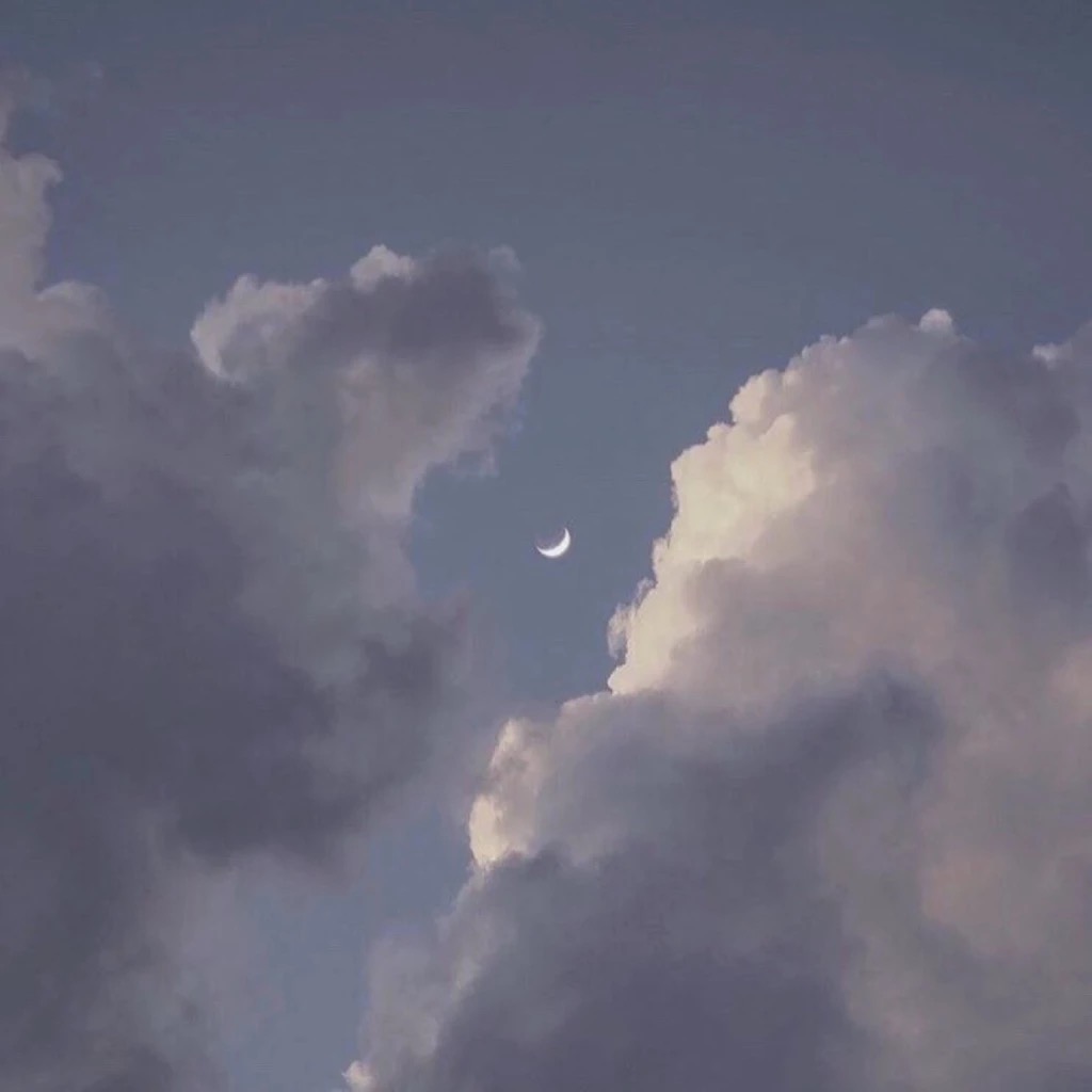 微信简洁森系朋友圈配图