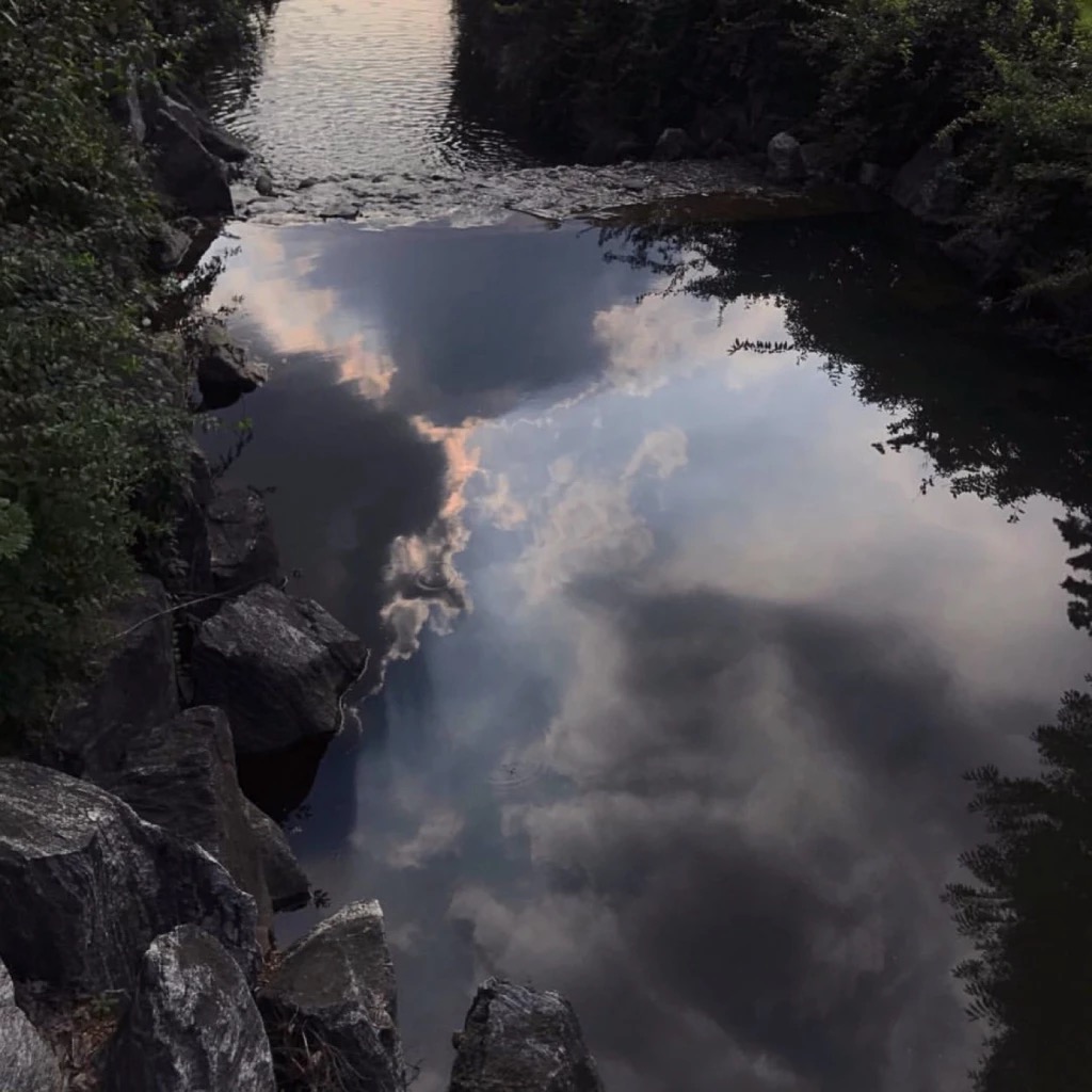 微信简洁森系朋友圈配图