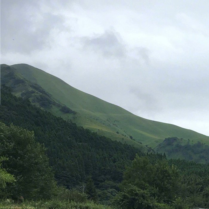 微信简洁森系朋友圈配图