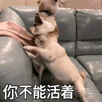 微信近期斗图恶搞表情包2019/9/10（二）