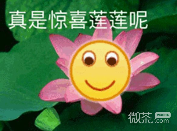 我的天呀微信恶搞傻屌群聊杂图表情包