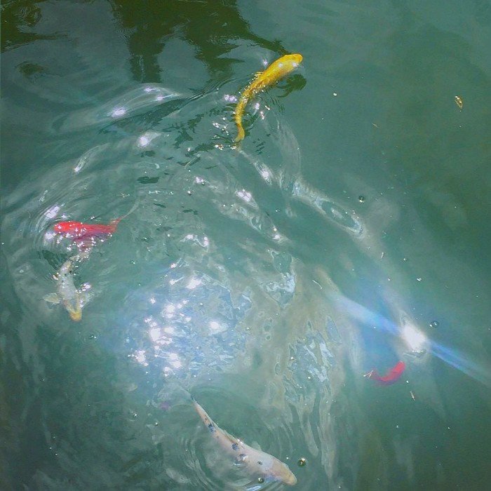 微信简洁森系朋友圈配图