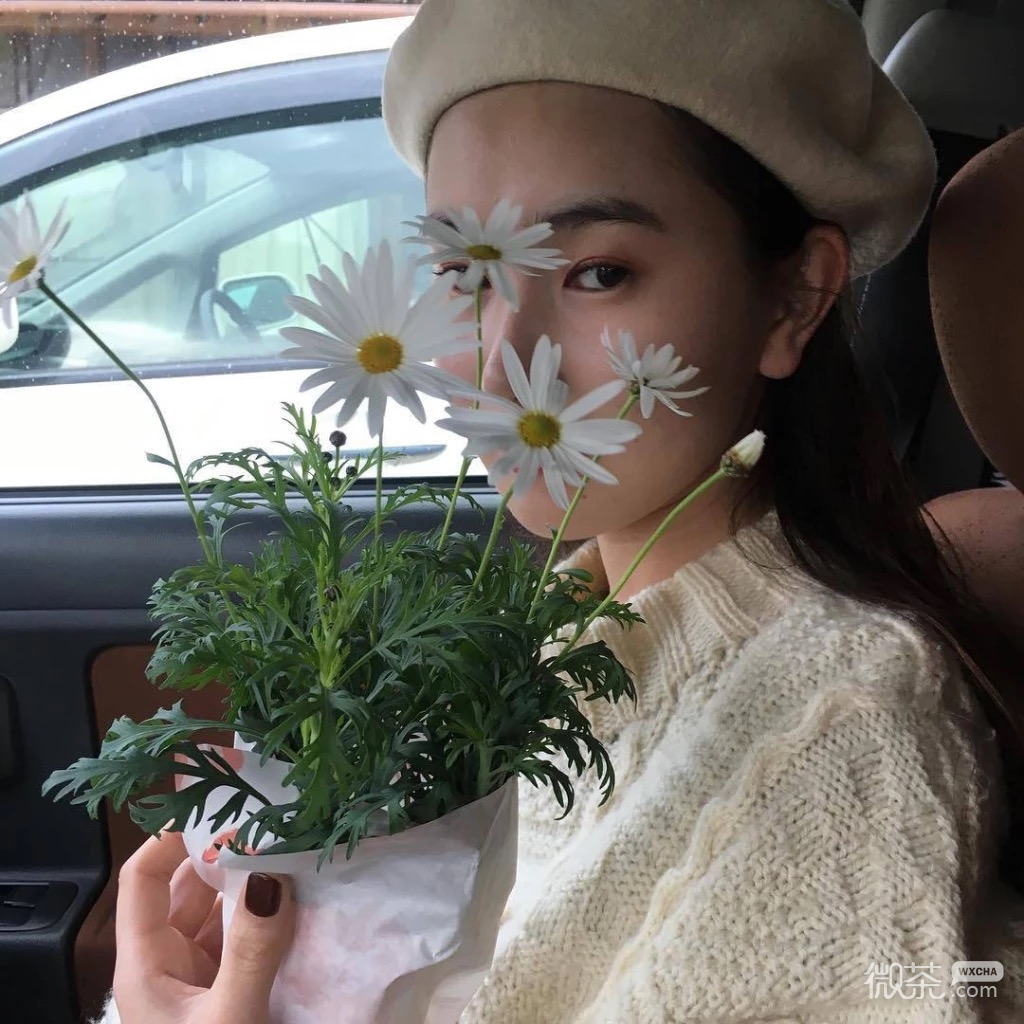 微信潮流文艺好看女头