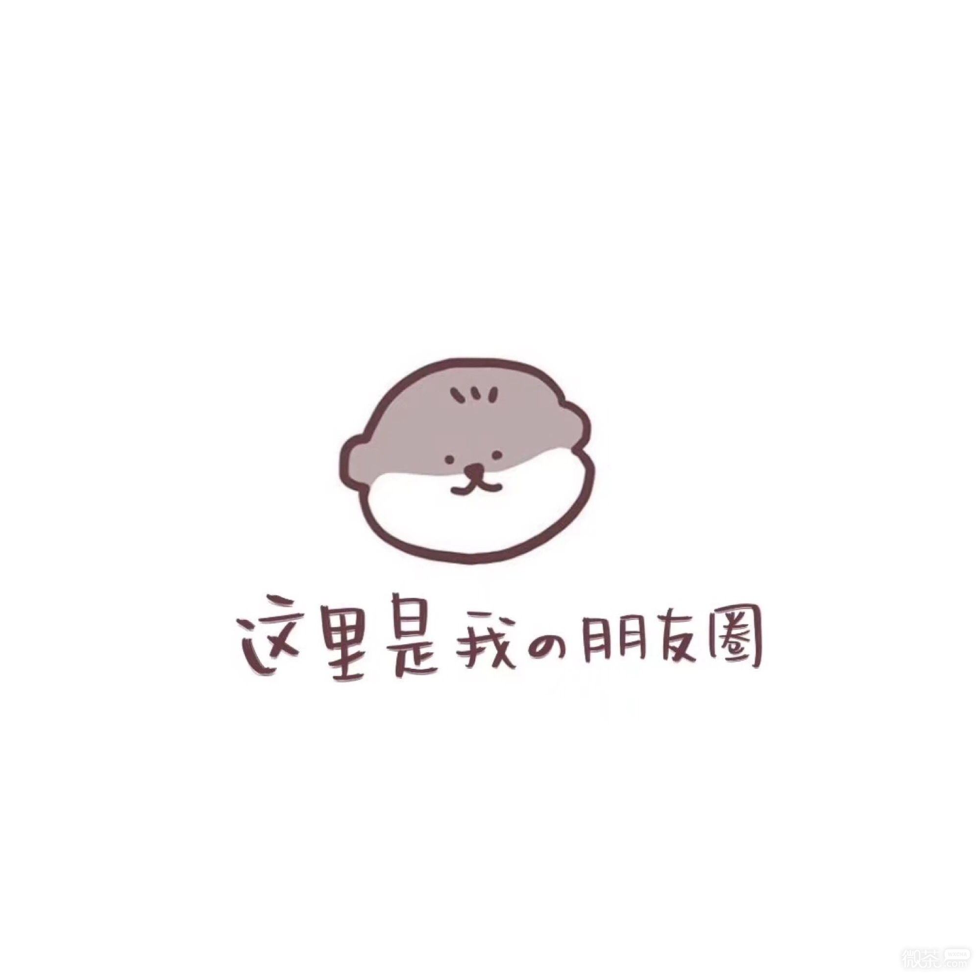 微信简约少女心朋友圈配图