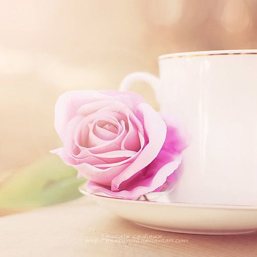 宁静好看的微信唯美意境图片下载