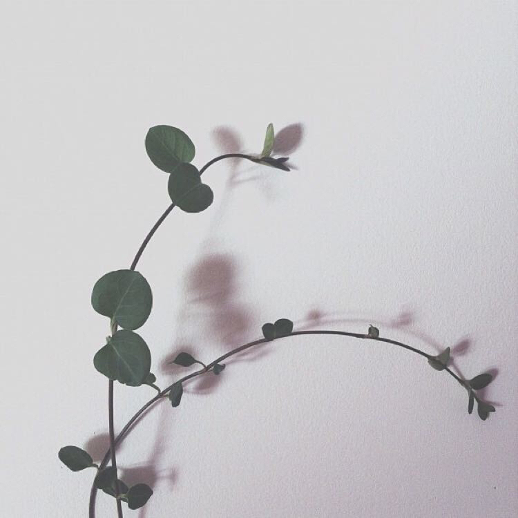 孤独寂寞风景朋友圈配图