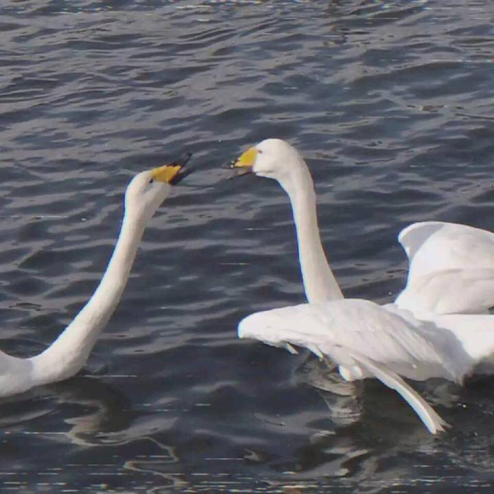 唯美日落朋友圈配图