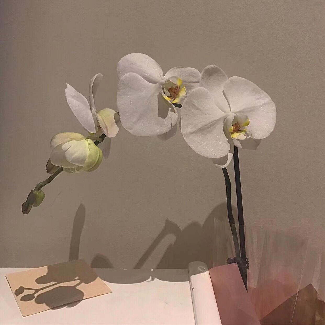 孤独寂寞风景朋友圈配图