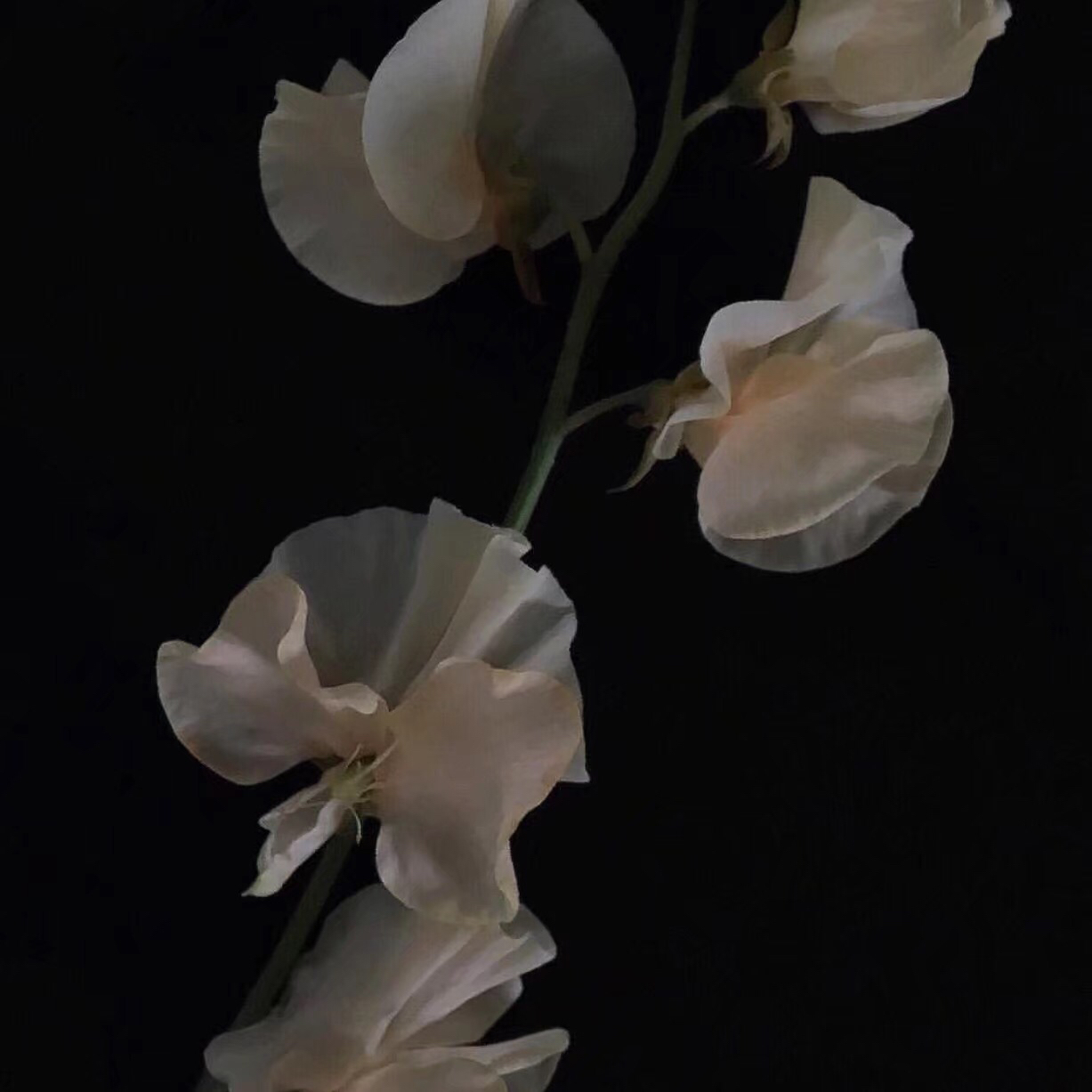 唯美日落朋友圈配图