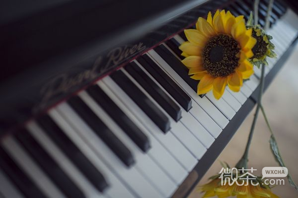 凉梦凉人心的悲情伤感微信女生图片下载