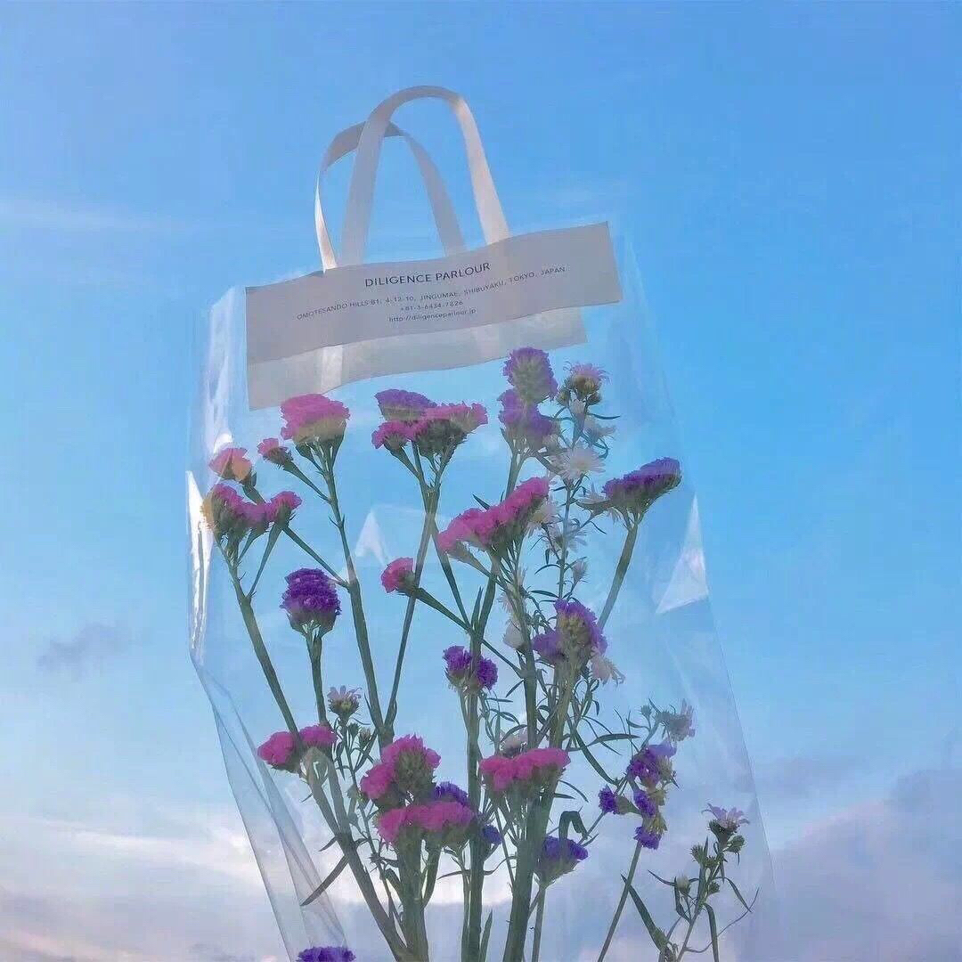 微信森系唯美风景静物朋友圈配图