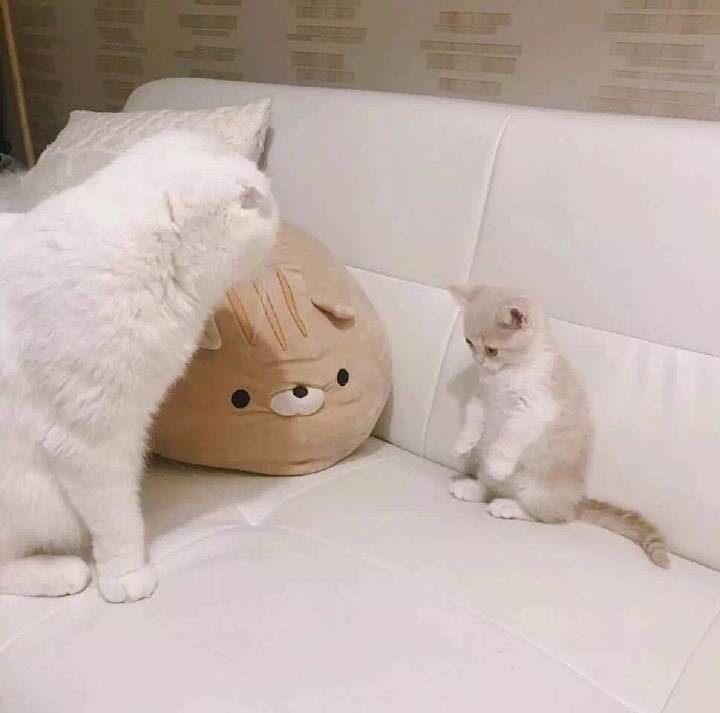 清新唯美风景静物微信朋友圈配图