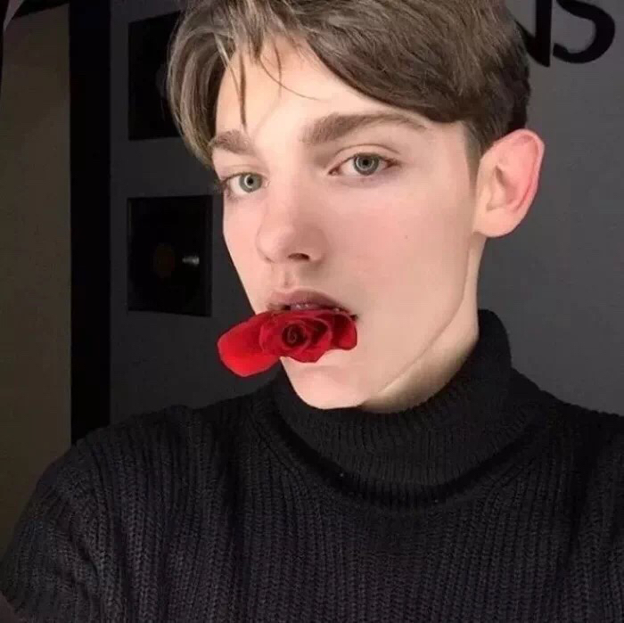 高颜值帅气性感欧美男头