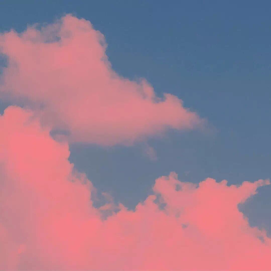 微信森系唯美风景静物朋友圈配图