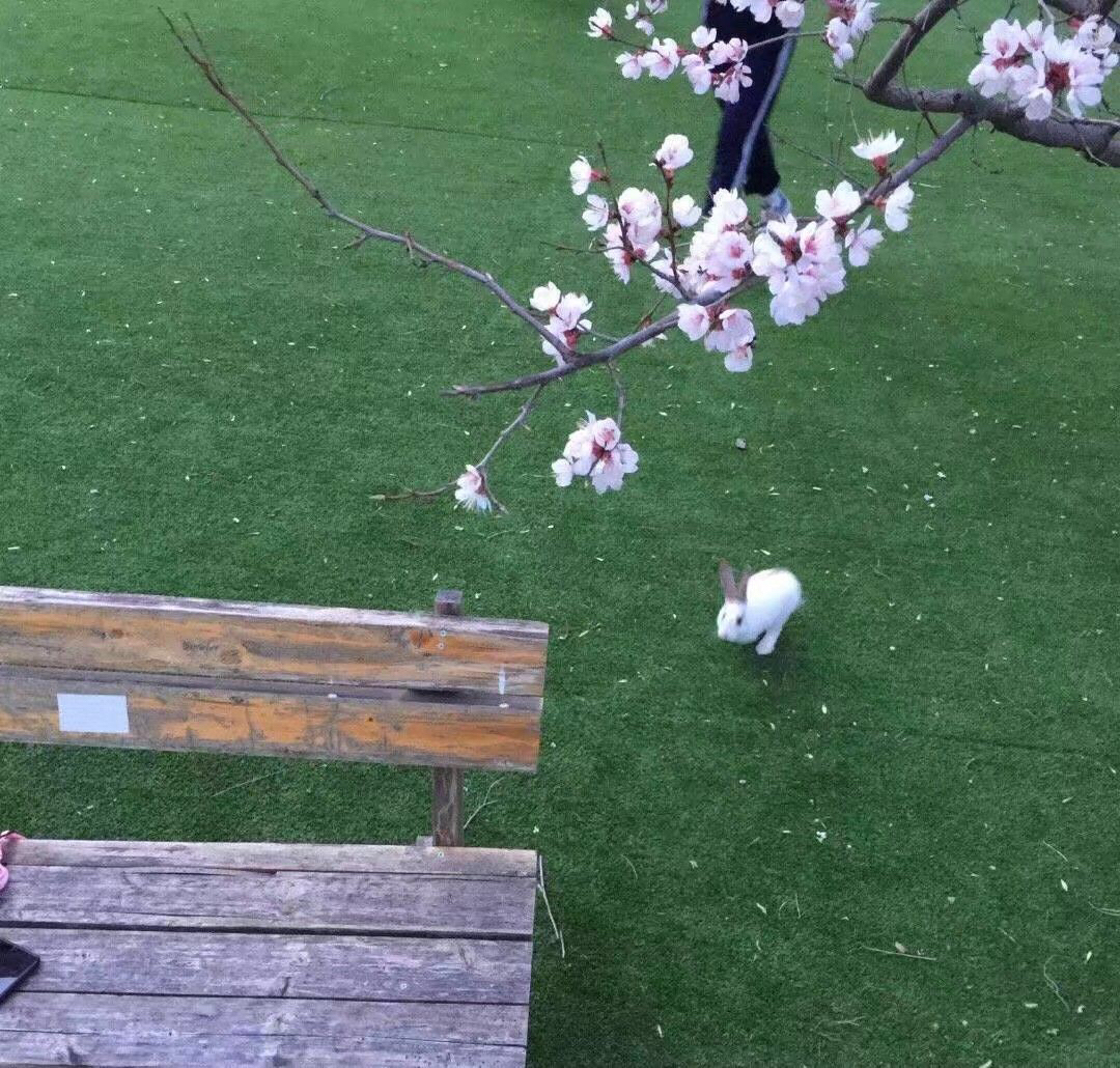 唯美日落朋友圈配图