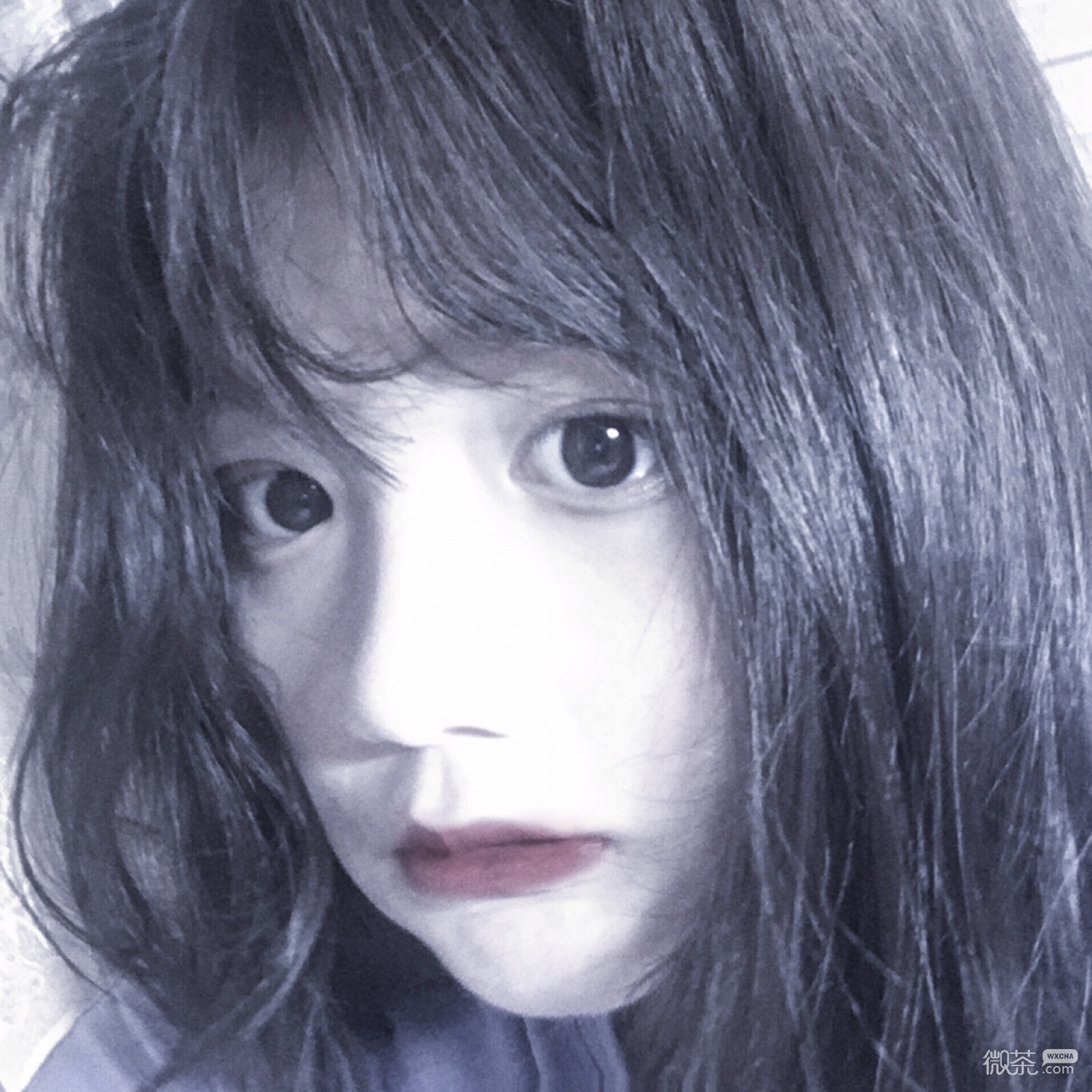 微信清新漂亮文艺女头