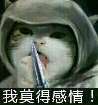 仙女八连微信恶搞斗图表情包