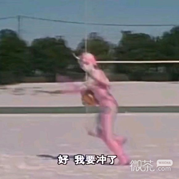 仙女八连微信恶搞斗图表情包
