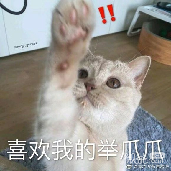 仙女八连微信恶搞斗图表情包