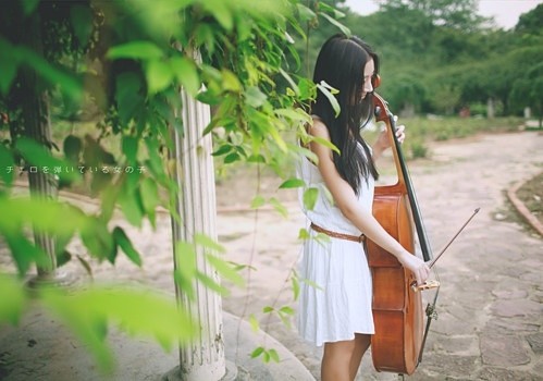 文艺女青年系列微信唯美图片下载