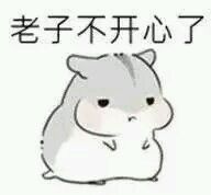 老子不开心了微信恶搞傻屌斗图表情包