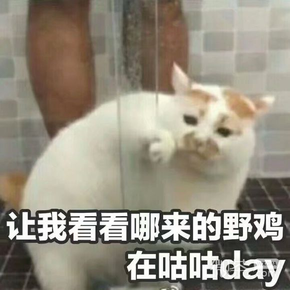 微信近期斗图恶搞表情包2019/9/17