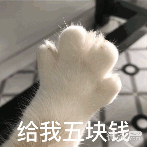 微信近期斗图恶搞表情包2019/9/17