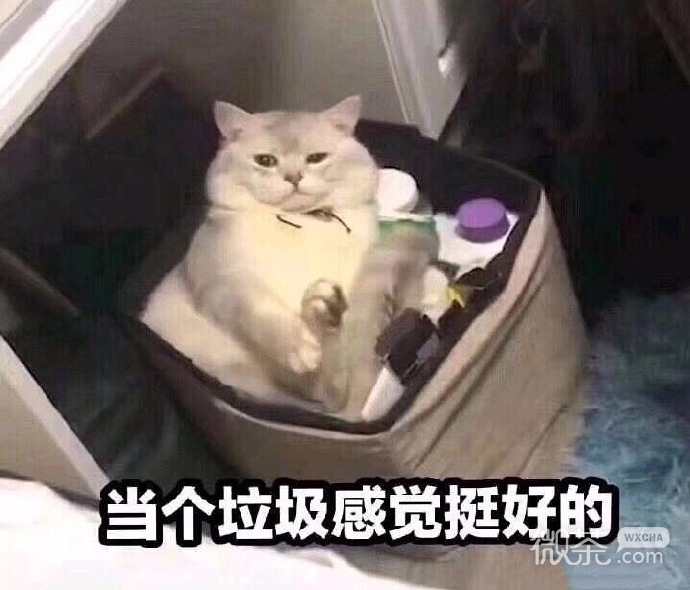 微信每日沙雕恶搞表情包合集下载