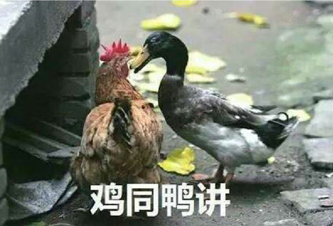 这边滚微信恶搞傻屌斗图表情包