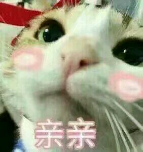 这边滚微信恶搞傻屌斗图表情包