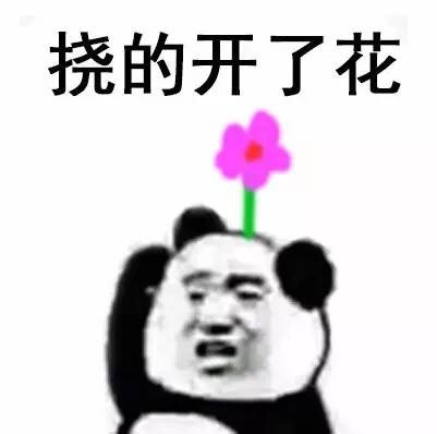 可爱搞笑的熊猫头恶搞挠头表情包下载