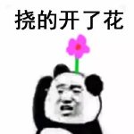 可爱搞笑的熊猫头恶搞挠头表情包下载