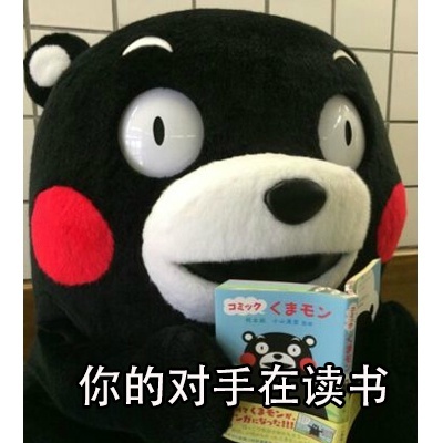 熊本熊为什么要努力系列微信表情包合集下载