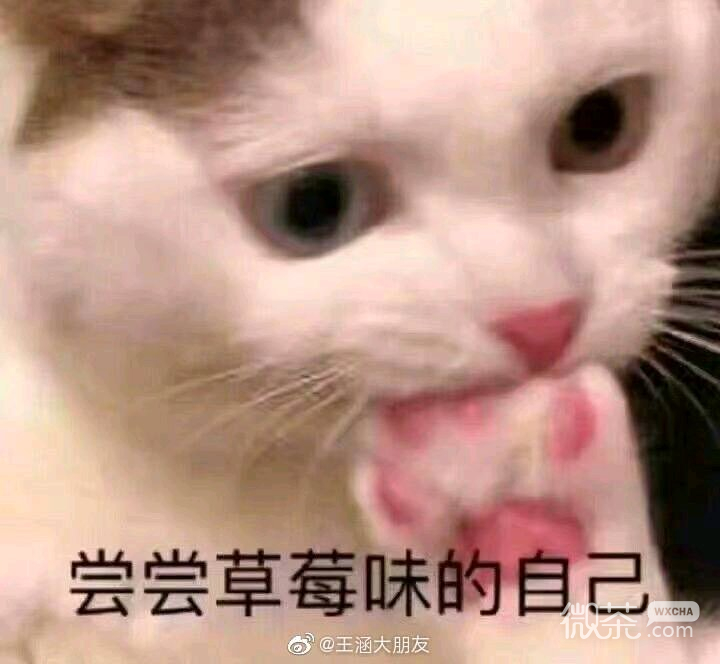 我太难了微信恶搞傻屌斗图表情包