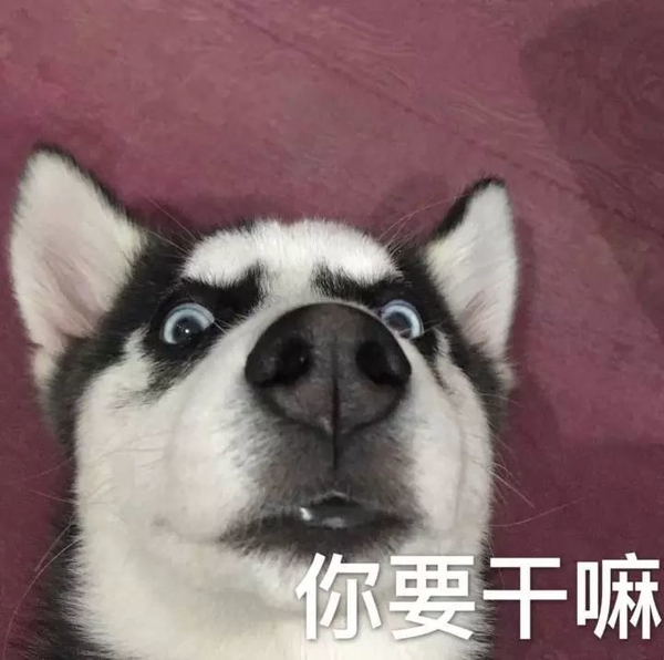 这边滚微信恶搞傻屌斗图表情包