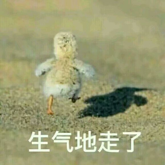 这边滚微信恶搞傻屌斗图表情包