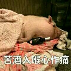 这边滚微信恶搞傻屌斗图表情包