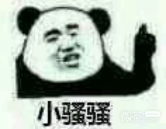 厉害恶搞傻屌斗图微信表情包