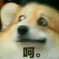 厉害恶搞傻屌斗图微信表情包