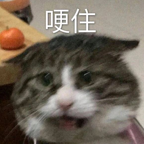 逗比告辞微信恶搞傻屌斗图表情包