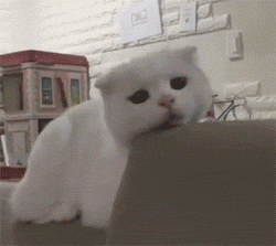 这边滚微信恶搞傻屌斗图表情包