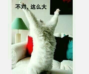 这边滚微信恶搞傻屌斗图表情包