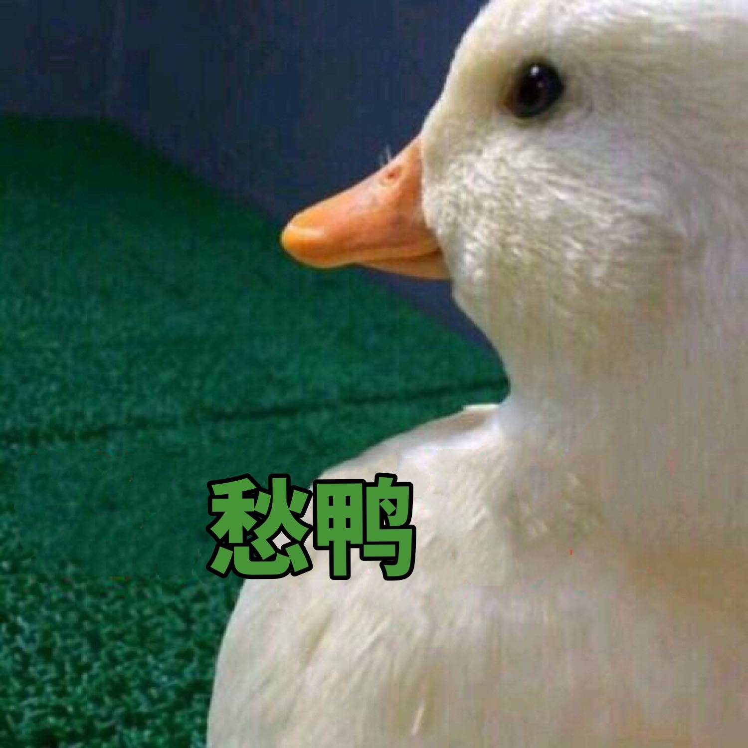 这边滚微信恶搞傻屌斗图表情包