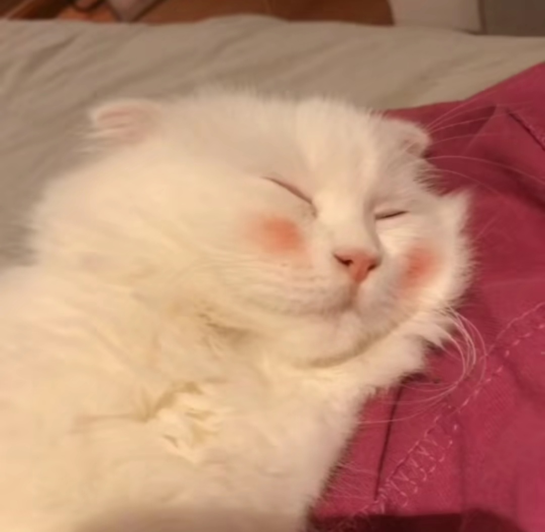 微信温馨爱情情头