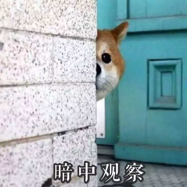 这边滚微信恶搞傻屌斗图表情包