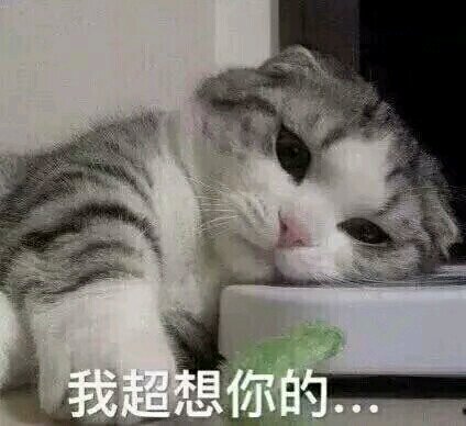 窝在怀里微信恶搞傻屌斗图表情包